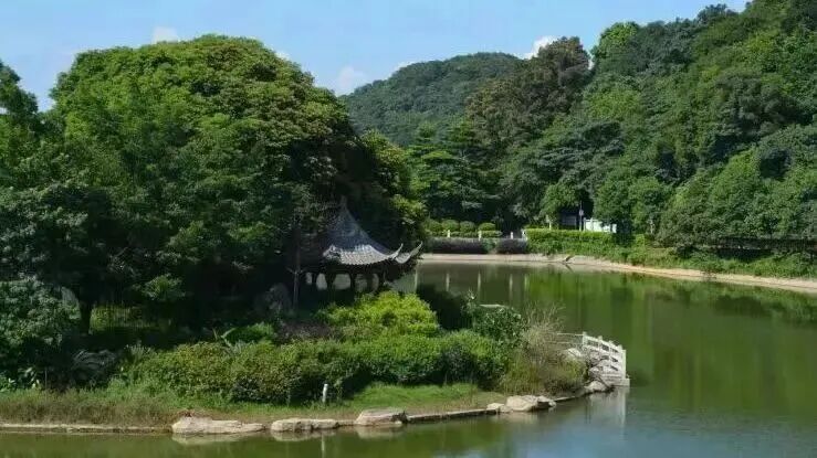 广州新森林步道即将开放，串联白云山、帽峰山