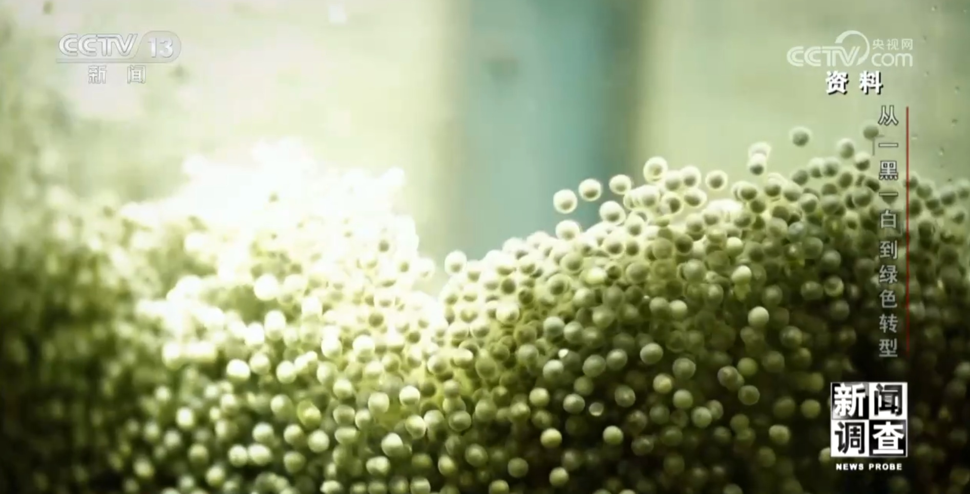 从“一黑一白”到绿色转型 看四川宜宾如何破局