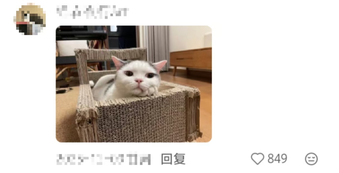 妈妈：你怎么挑的白菜？我：我挑着最开心的买的……