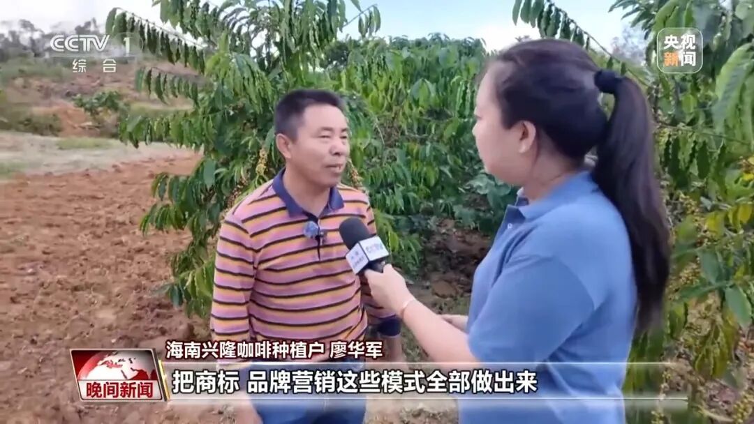 海南自贸港封关第一年 各行各业抢抓政策新机遇