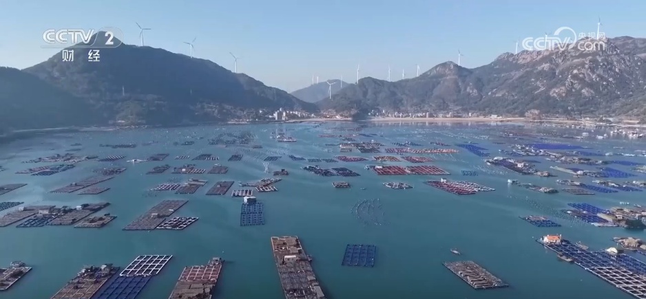 特色集市、年宵花海……年味渐浓！用N种方式打开火热节前市场