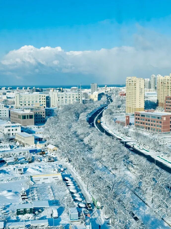 积雪深度超20厘米！威海暴雪为何这么厉害？