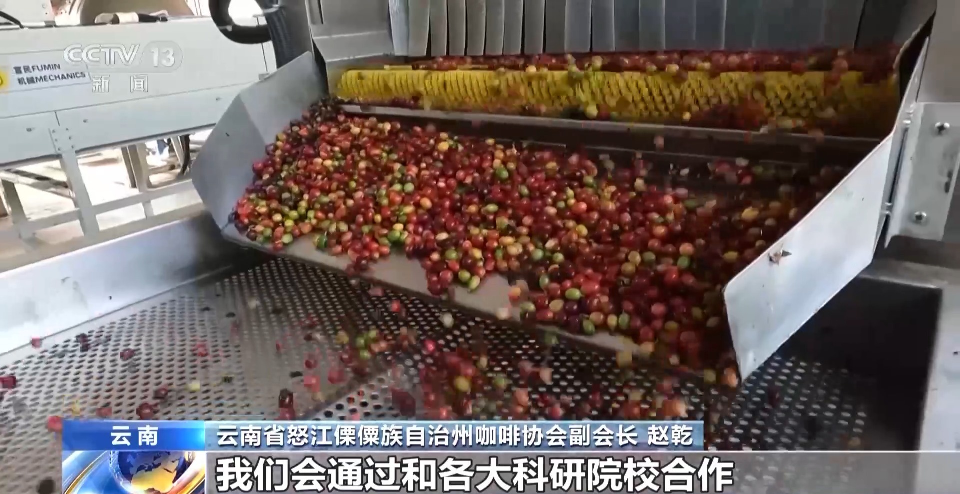 走出大山 云南咖啡何以从“红果”走向“红火”? 走出大山 云南咖啡何以从“红果”走向“红火”?