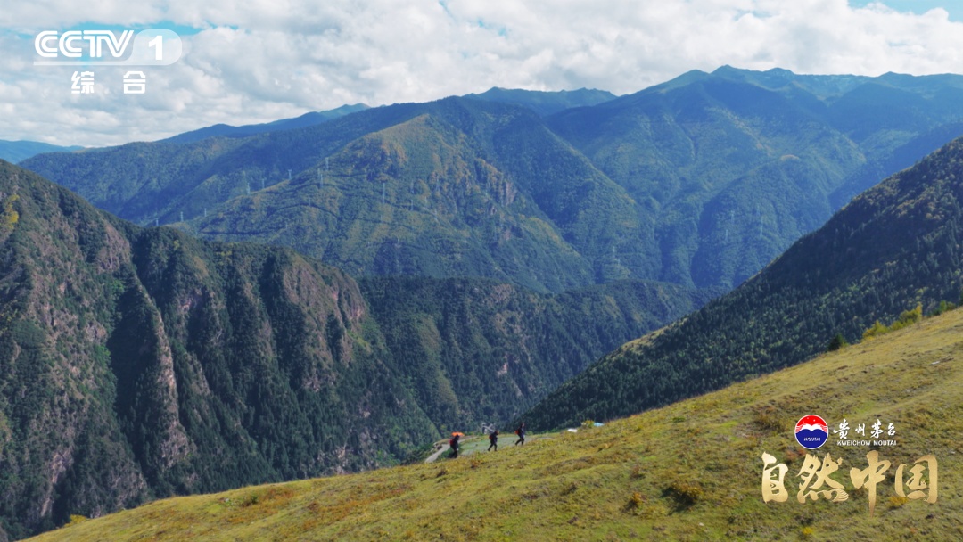 《地矿宝藏》首次全景呈现中国找矿突破！