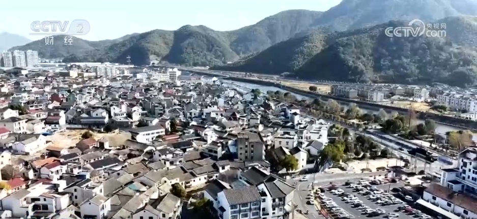 特色集市、年宵花海……年味渐浓！用N种方式打开火热节前市场