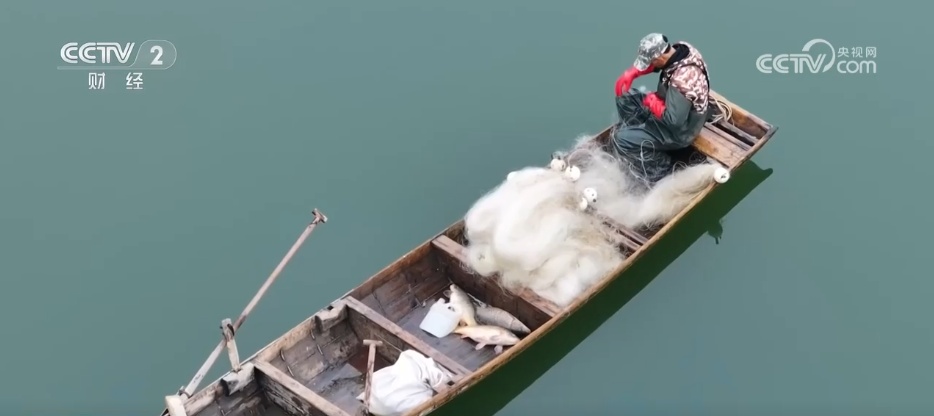 特色集市、年宵花海……年味渐浓！用N种方式打开火热节前市场