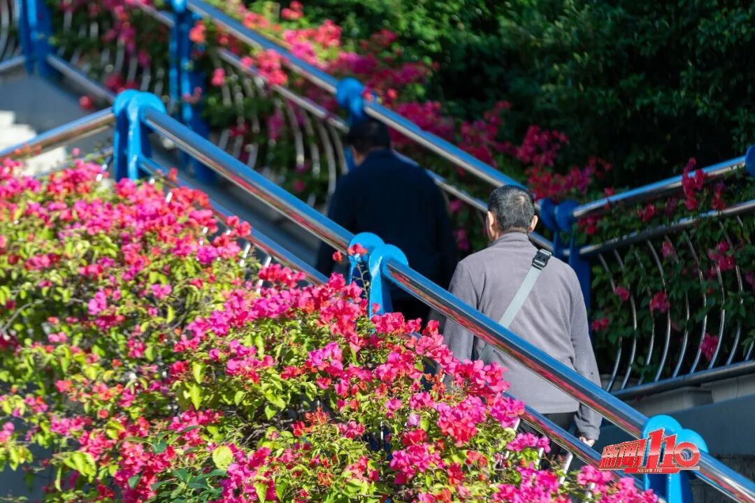 直冲25℃！福州迎来“火箭式”升温？一定要注意……