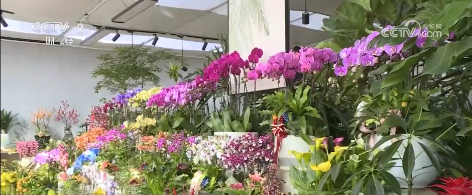 特色集市、年宵花海……年味渐浓！用N种方式打开火热节前市场