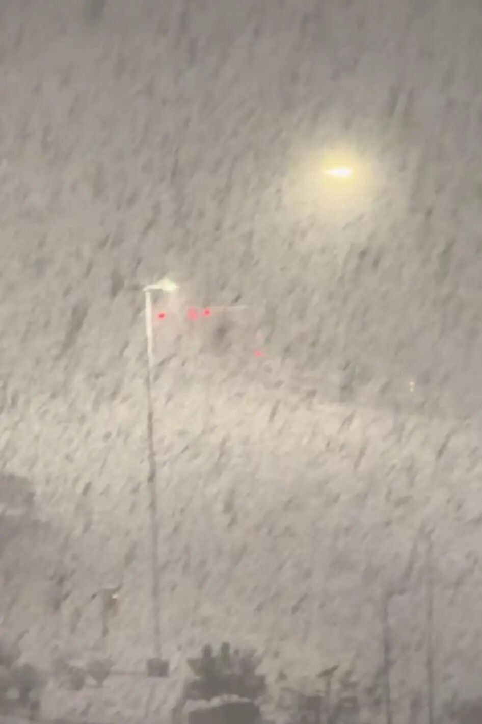 先后冲上热搜榜一，威海、烟台的大雪为何下到“冒烟”？