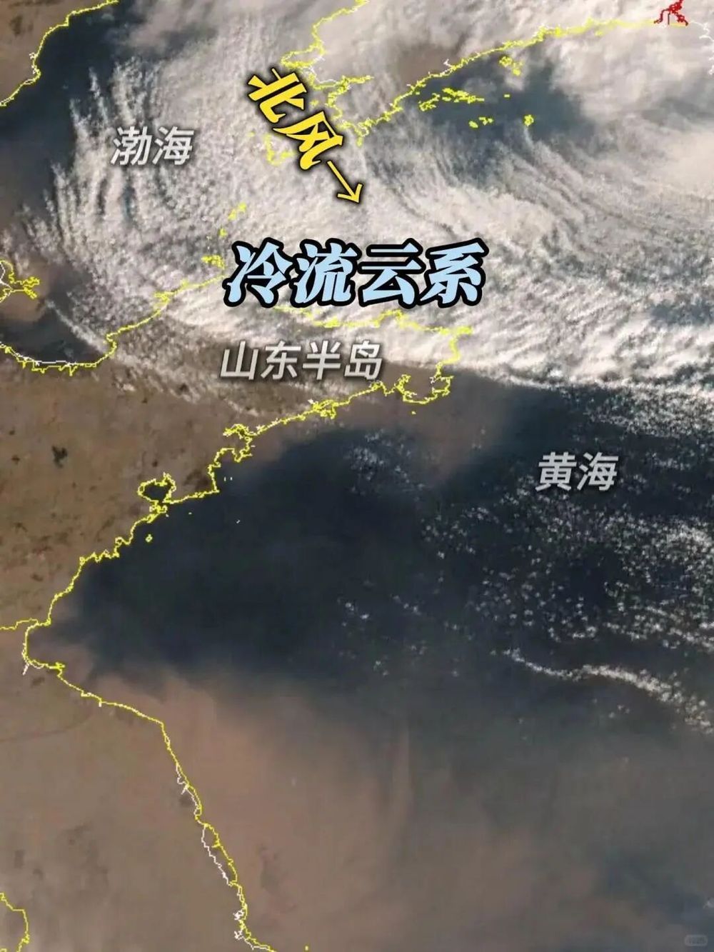 积雪深度超20厘米！威海暴雪为何这么厉害？