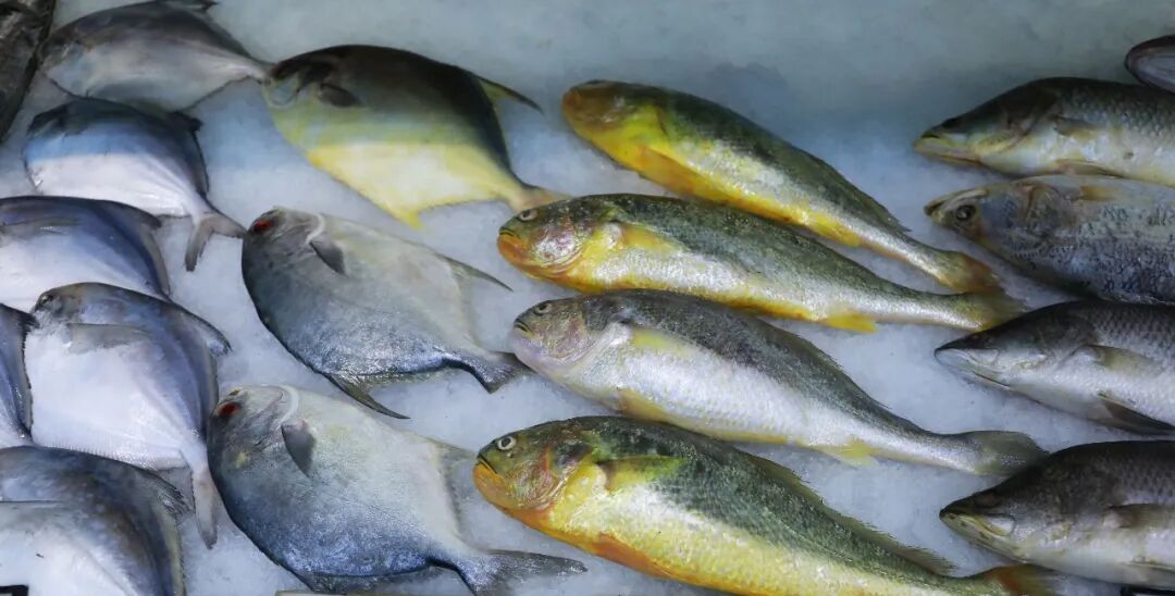 冰箱冻肉放半年，竟吃进医院！冷冻肉类到底能放多久？