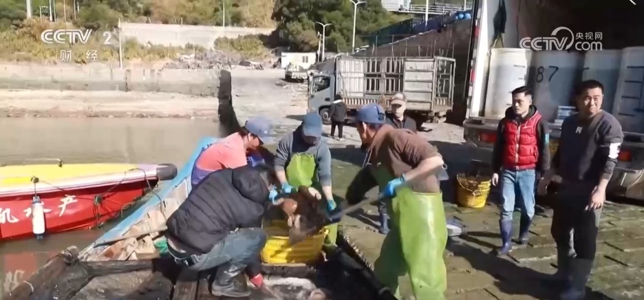 特色集市、年宵花海……年味渐浓！用N种方式打开火热节前市场