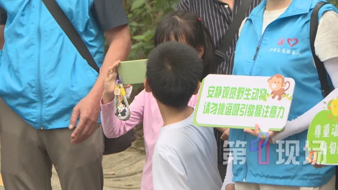 一野猴大闹福田居民区，已“验明正身”：系猴群二当家“贝吉塔”，性格最暴躁