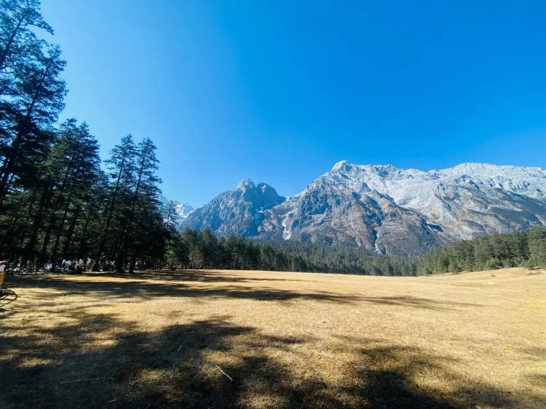 允许别人做别人，允许自己做自己