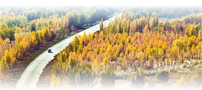 人民日报整版聚焦：坚持“双碳”引领，推动全面绿色转型