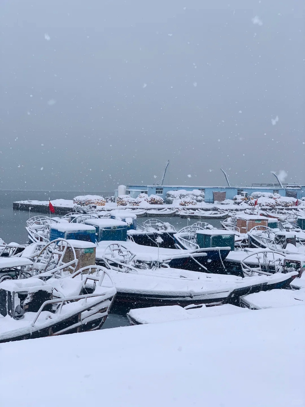 积雪深度超20厘米！威海暴雪为何这么厉害？