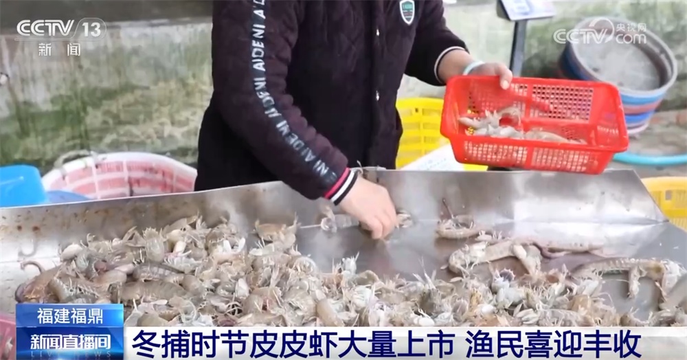 多地火热冬捕精彩上演共享“渔”乐 百姓餐桌再添“鲜”滋味