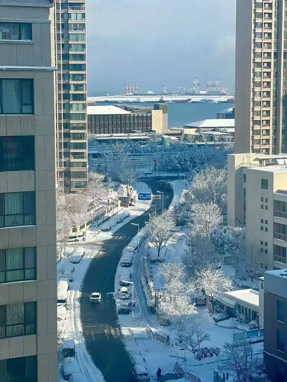 积雪深度超20厘米！威海暴雪为何这么厉害？