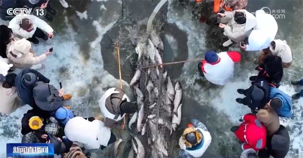 多地火热冬捕精彩上演共享“渔”乐 百姓餐桌再添“鲜”滋味