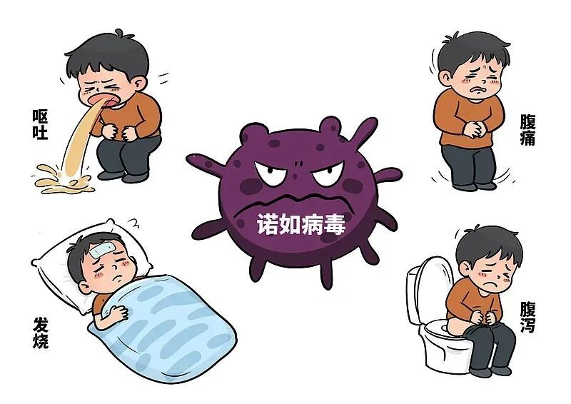 上吐下泻别误判！诺如病毒高发季， 这些防控要点请收好