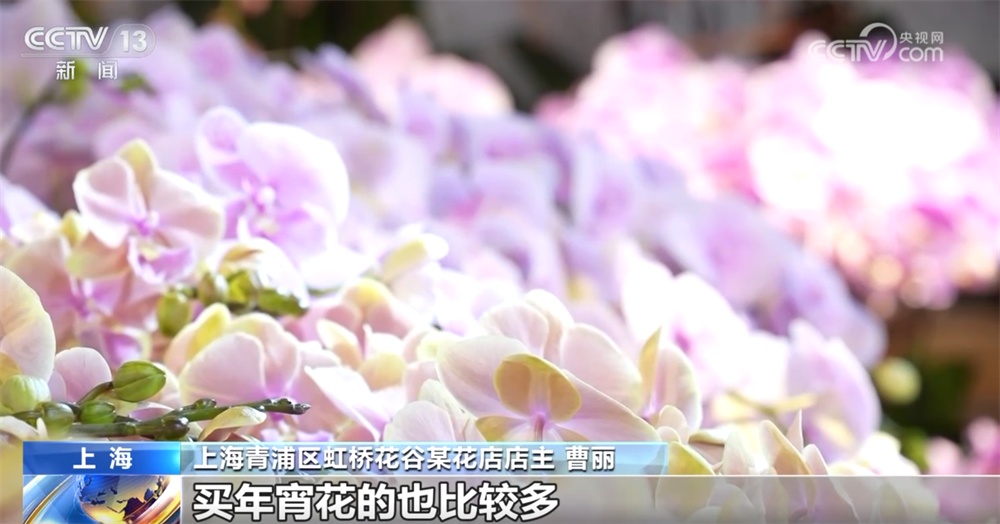 年宵花“上新”争奇斗艳持续热销 传统技艺趣味焕新“点亮”节前市场新图景