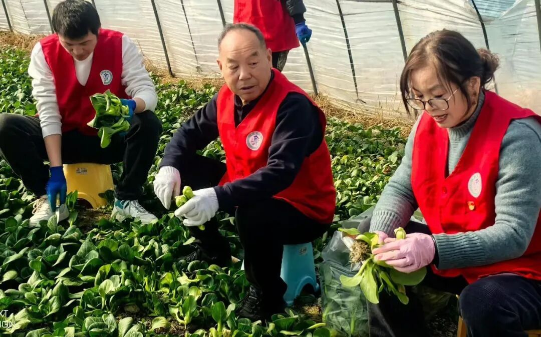 60岁菜农大伯因儿子离世，家里数万斤蔬菜滞销！半个月过去，爱心接力还在浙江持续……