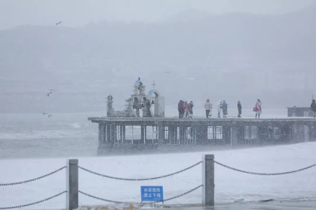 原来真的有“雪窝子”！威海、烟台迎来暴雪，“雪中看海”馋哭江苏网友：能不能分点？