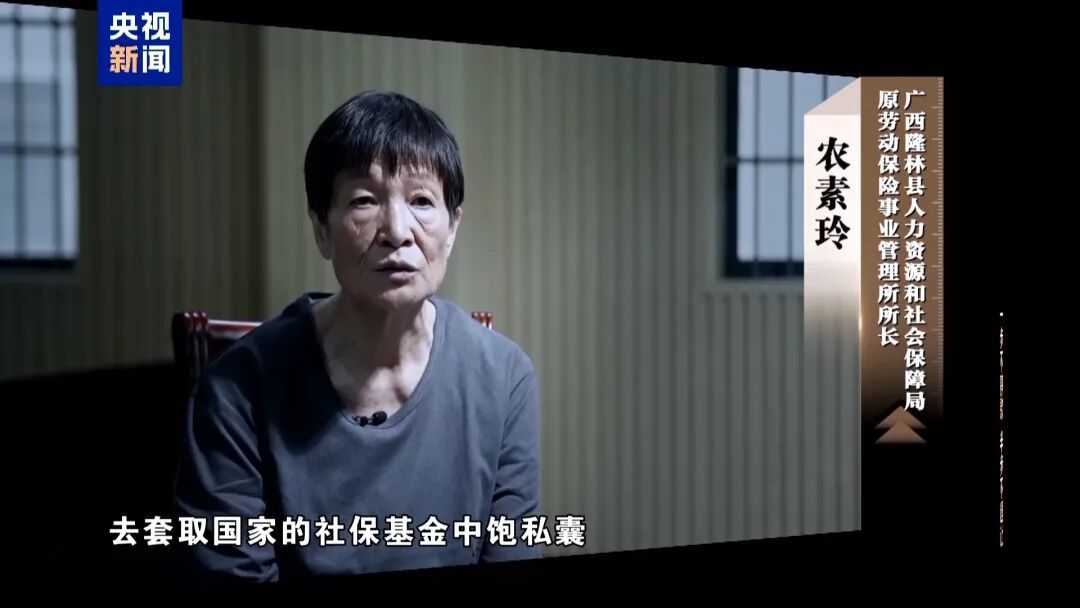 人社局工作人员发现系统漏洞，拉所长下水骗养老金，两人退休后惶惶不可终日，最终获刑