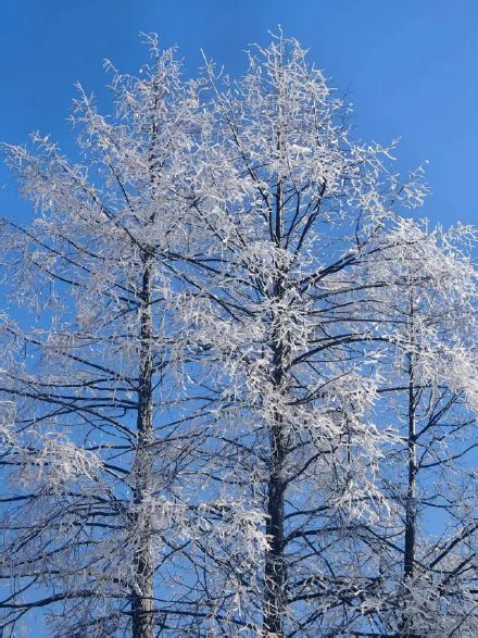 成都崇州即将迎来赏雪季啦！