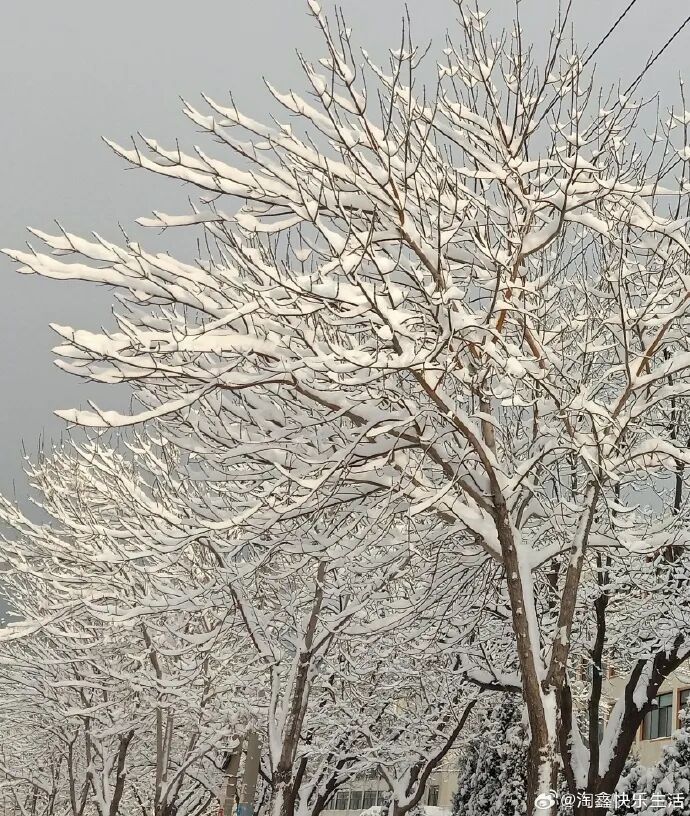 积雪深度超20厘米！威海暴雪为何这么厉害？