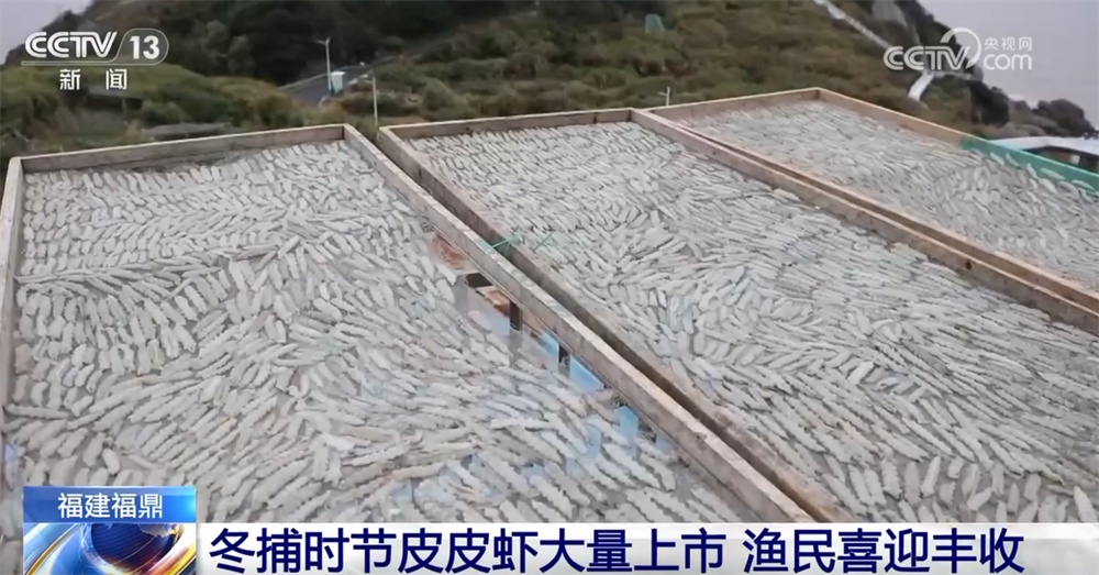 多地火热冬捕精彩上演共享“渔”乐 百姓餐桌再添“鲜”滋味