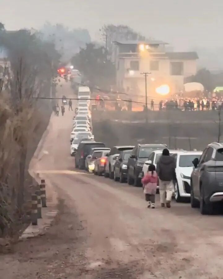 女子网上求助“按年猪”，上千网友驱车来帮忙，10万人在线围观！当地文旅连夜出动支援