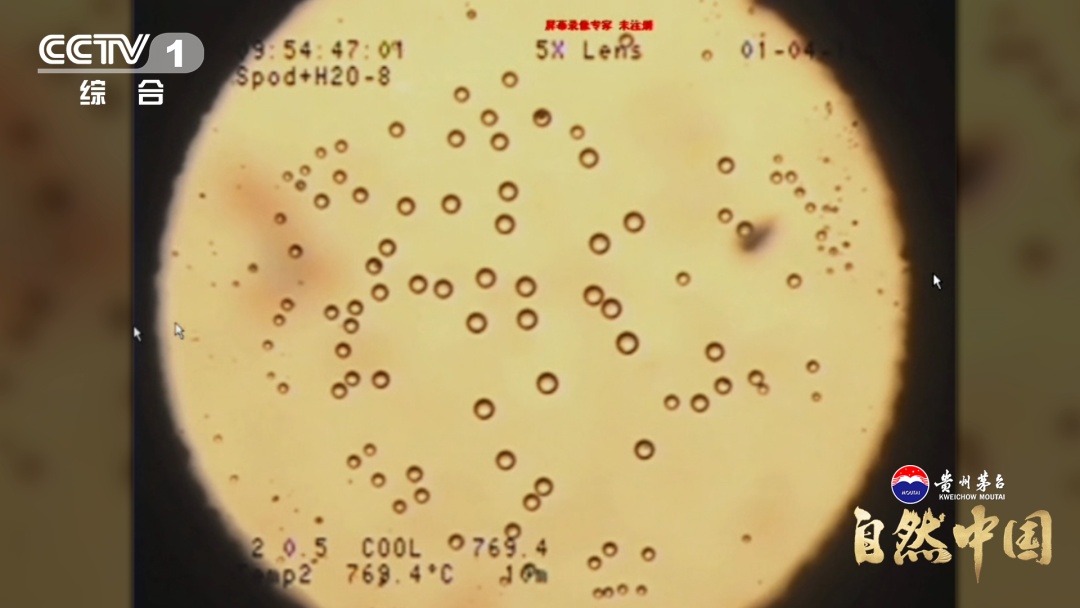 《地矿宝藏》首次全景呈现中国找矿突破！