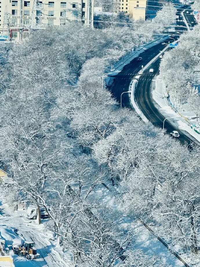 积雪深度超20厘米！威海暴雪为何这么厉害？