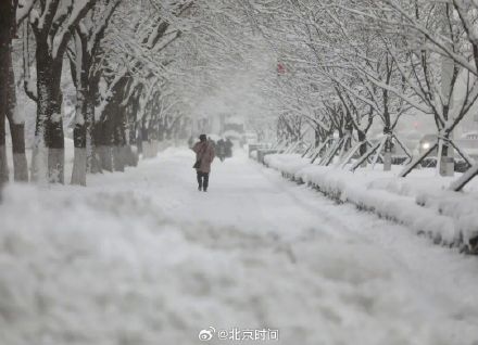 威海下冒烟的雪是冷流雪 威海下冒烟的雪是冷流雪