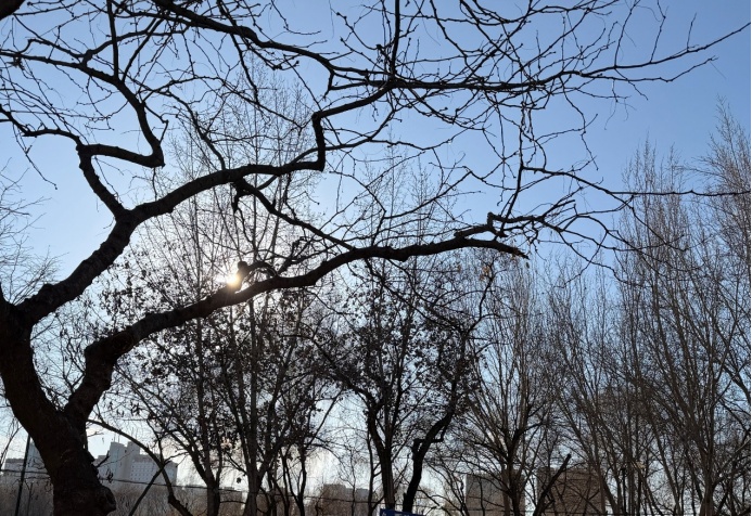 寒潮预警！辽宁还有一场大范围降雪