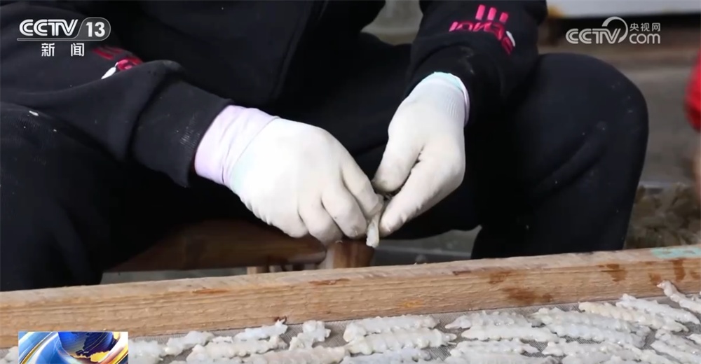 多地火热冬捕精彩上演共享“渔”乐 百姓餐桌再添“鲜”滋味