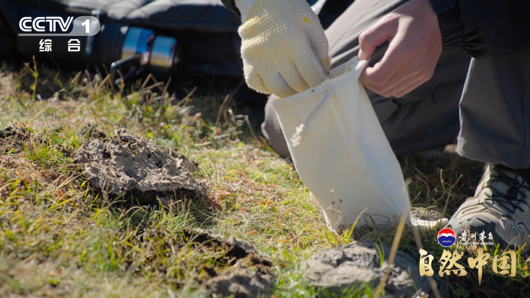《地矿宝藏》首次全景呈现中国找矿突破！