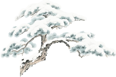 低温烫伤年轻化？你的取暖方式可能“毁”掉皮肤