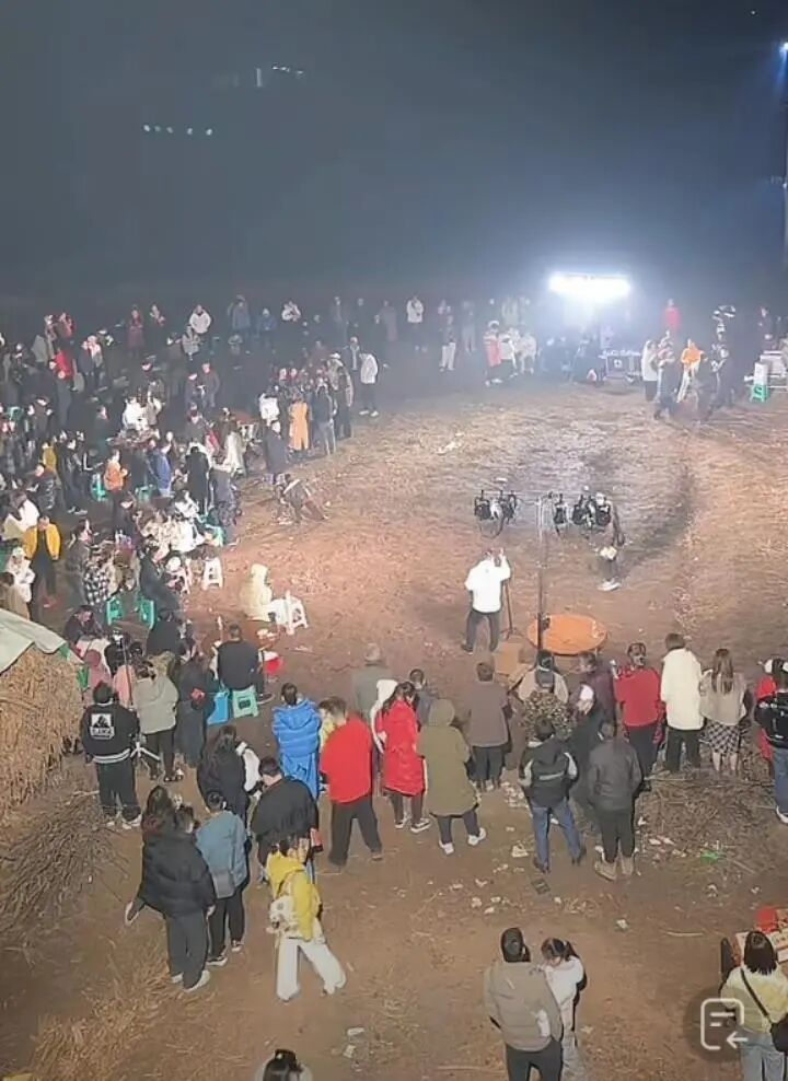 女子网上求助“按年猪”，上千网友驱车来帮忙，10万人在线围观！当地文旅连夜出动支援