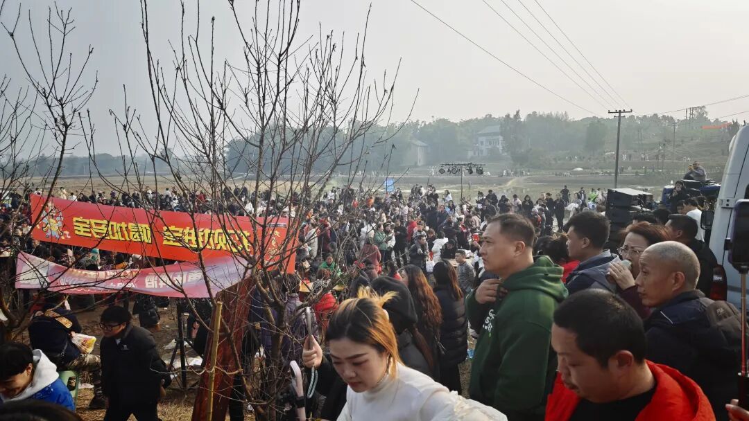 “呆呆刨猪宴”爆火！堵车3公里、杀5头猪开流水席