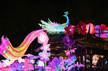 好漂亮！多地年味花灯陆续上线了