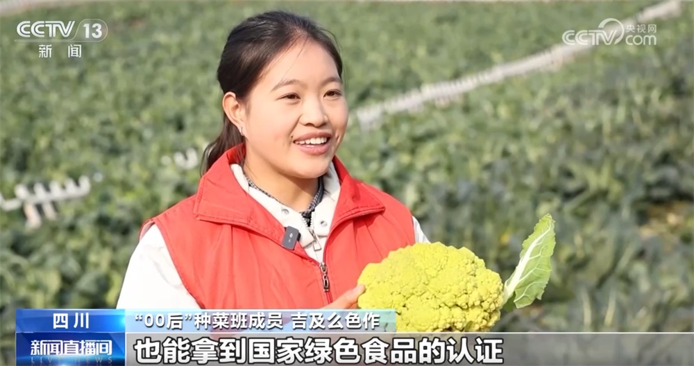 这个“00后”种菜班让智慧农业“照进”田间日常 温室大棚一派好“丰”景 这个“00后”种菜班让智慧农业“照进”田间日常 温室大棚一派好“丰”景