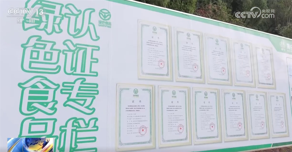 这个“00后”种菜班让智慧农业“照进”田间日常 温室大棚一派好“丰”景 这个“00后”种菜班让智慧农业“照进”田间日常 温室大棚一派好“丰”景