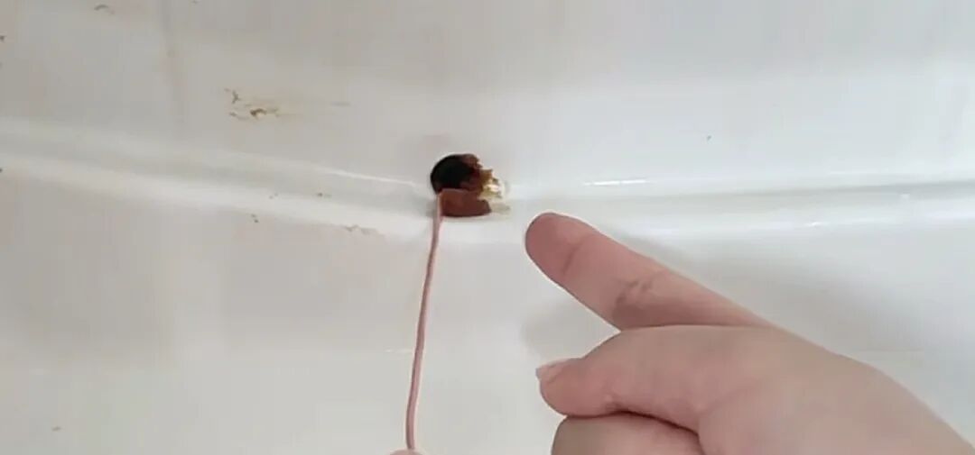 警惕,冰箱里最脏的地方……很多人因此进医院 警惕,冰箱里最脏的地方……很多人因此进医院