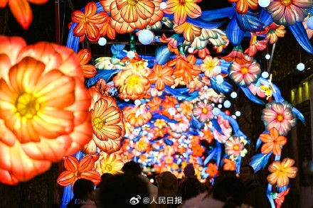 好漂亮！多地年味花灯陆续上线了