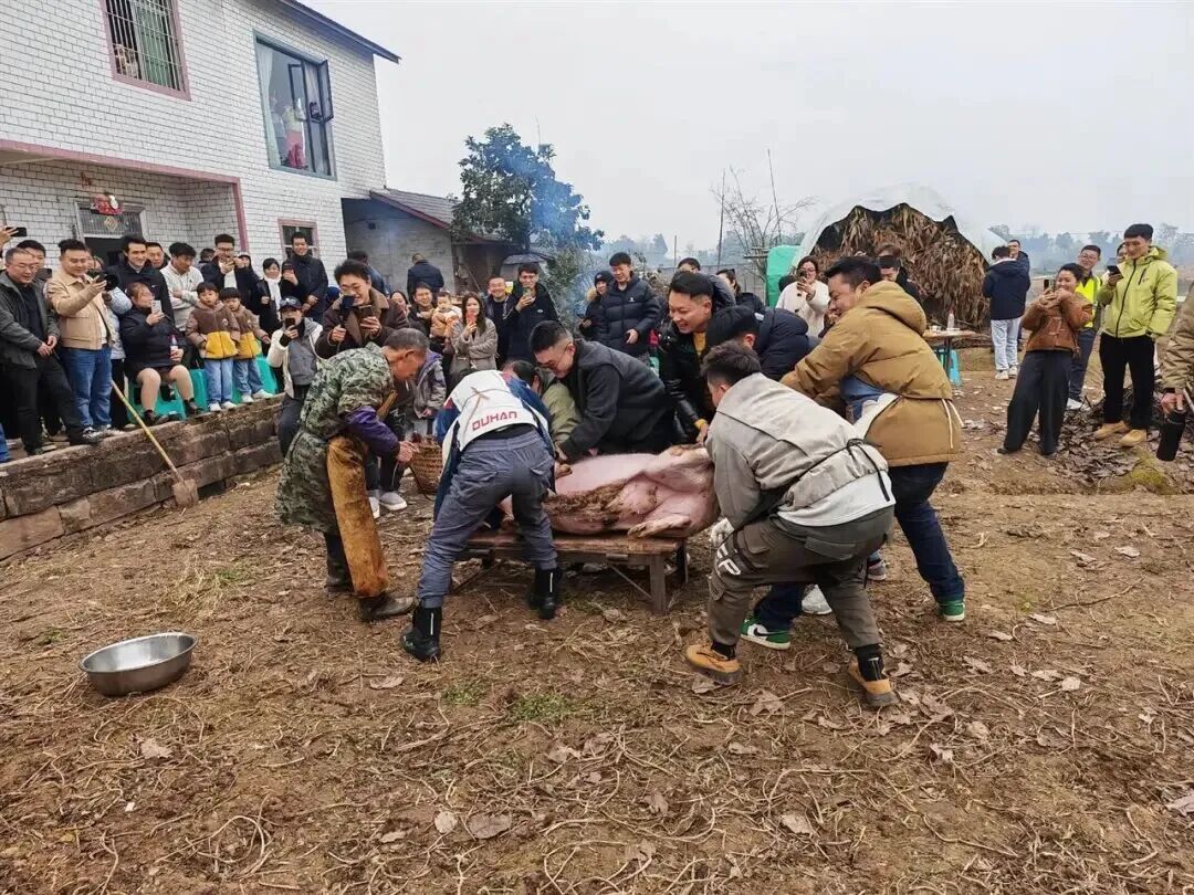 一顿刨猪汤，煮出了“城市级好客”的味道