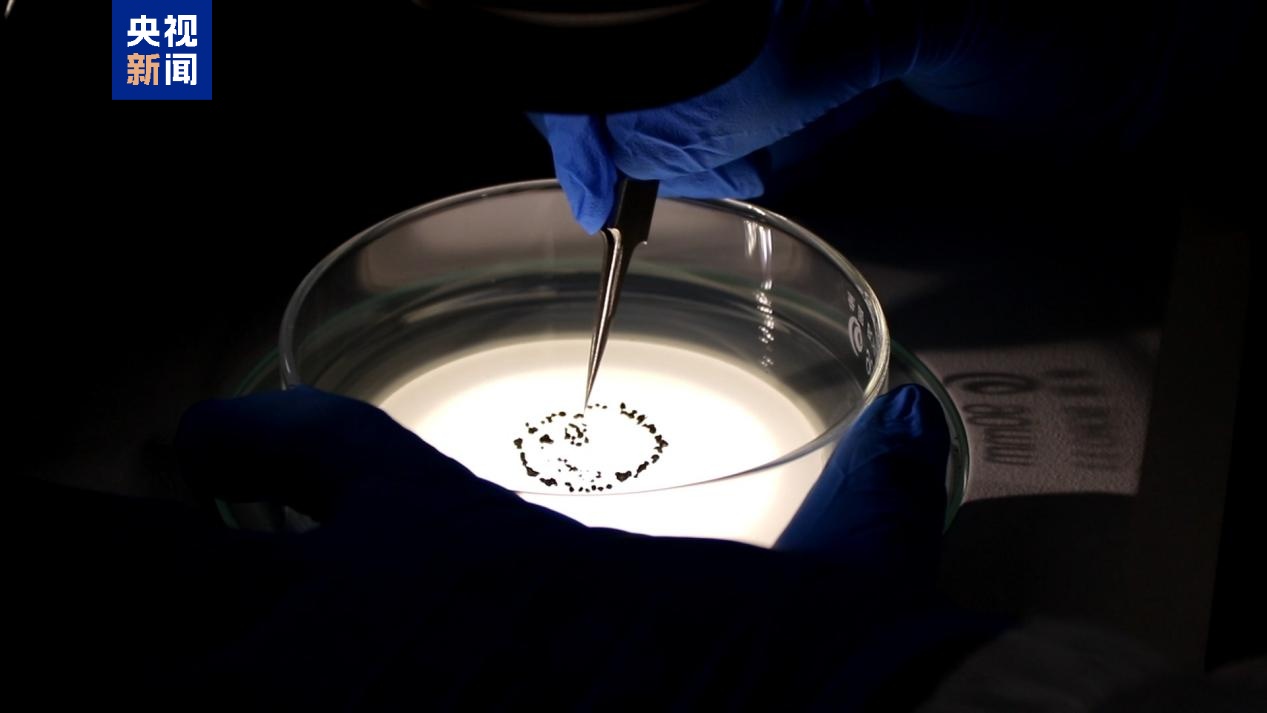 嫦娥六号玄武岩为揭示月球地质演化历史提供关键线索