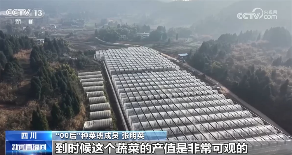 这个“00后”种菜班让智慧农业“照进”田间日常 温室大棚一派好“丰”景 这个“00后”种菜班让智慧农业“照进”田间日常 温室大棚一派好“丰”景