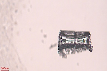 微观视角看雪花雪花原来长这样! 微观视角看雪花雪花原来长这样!